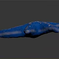 Blue Starfish With White Spots On Textured Surface Against Dark Background