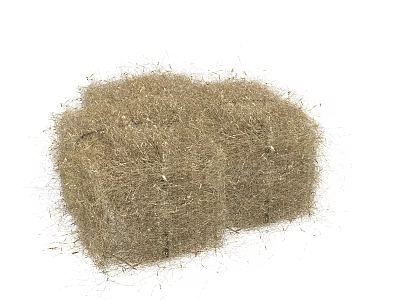 Natural Dried Grass Hay Bales With Two Rustic Bundles And Dry Plant Texture 3d model
