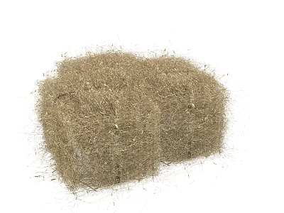 Natural Dried Grass Hay Bales With Two Rustic Bundles And Dry Plant Texture 3d model