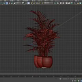 Various Green Potted Plants With Palm Large Leaf And Small Plant In Dark Pots