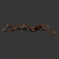 Brown Stick Insect With Elongated Body And Long Legs On Dark Background