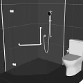 Modern Bathroom Interior With White Toilet Black Tiled Walls And Shower Fixtures