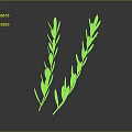 Green Plant Branches With Slender Leaves On Gray Background And Reflection 3d model