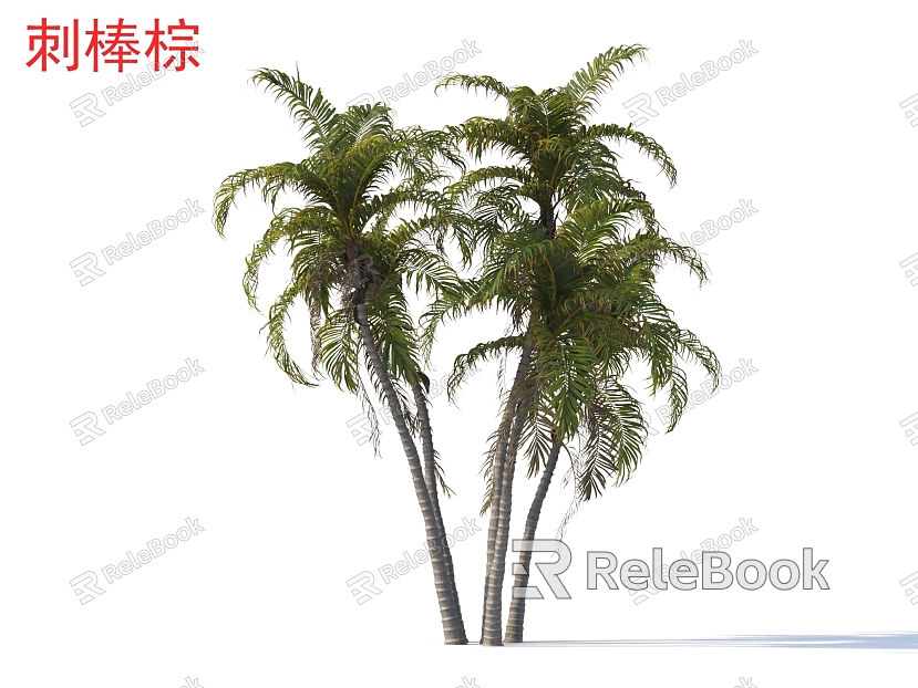 Sticks Brown Small Trees Trees Plants model