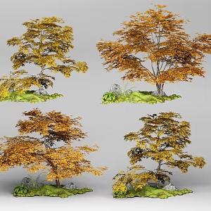 Tree Micro Landscape Plant Maple Leaf Spring Autumn Leaves 3d model