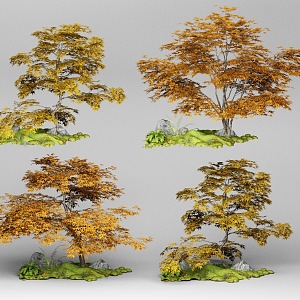 Tree Micro Landscape Plant Maple Leaf Spring Autumn Leaves 3d model