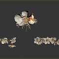 Plum Blossom Flowers 3d model