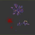 Saffron Plant With Purple Flowers Red Stigmas And Bulbous Corm