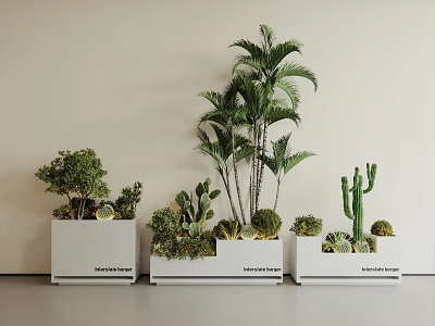 Decorative Shrub Arrangement With Palm Trees And Cacti In White Planters 3d model