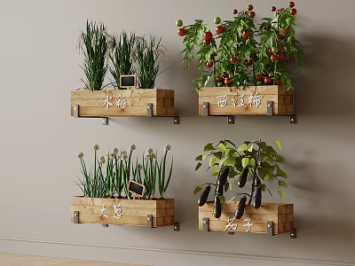 Crops Growing in Wall Mounted Wooden Planters with Fresh Tomato Eggplant and Garlic 3d model
