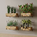 Crops Growing in Wall Mounted Wooden Planters with Fresh Tomato Eggplant and Garlic