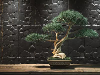 Artistic Bonsai Pine Tree Planted on Wooden Table with Textured Stone Wall Background 3d model