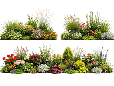Garden Plant Combinations With Colorful Flowers Shrubs And Ornamental Grasses 3d model