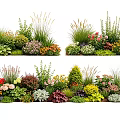 Garden Plant Combinations With Colorful Flowers Shrubs And Ornamental Grasses