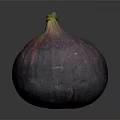 Fresh Ripe Fig with Purple Red Green Glossy Skin on Dark Background
