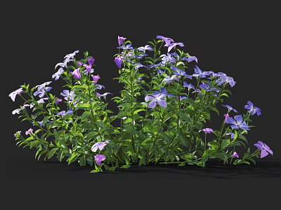 Fresh Purple And White Flowers With Green Leaves In Lush Clusters 3d model