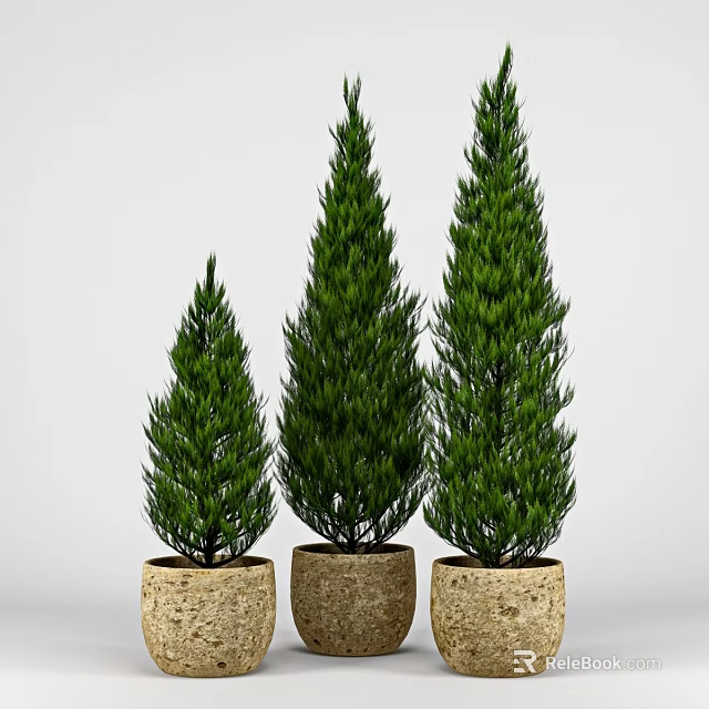 Three Green Potted Plants of Different Heights in Beige Pots with White Background 3d model 