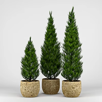 Three Green Potted Plants of Different Heights in Beige Pots with White Background 3d model
