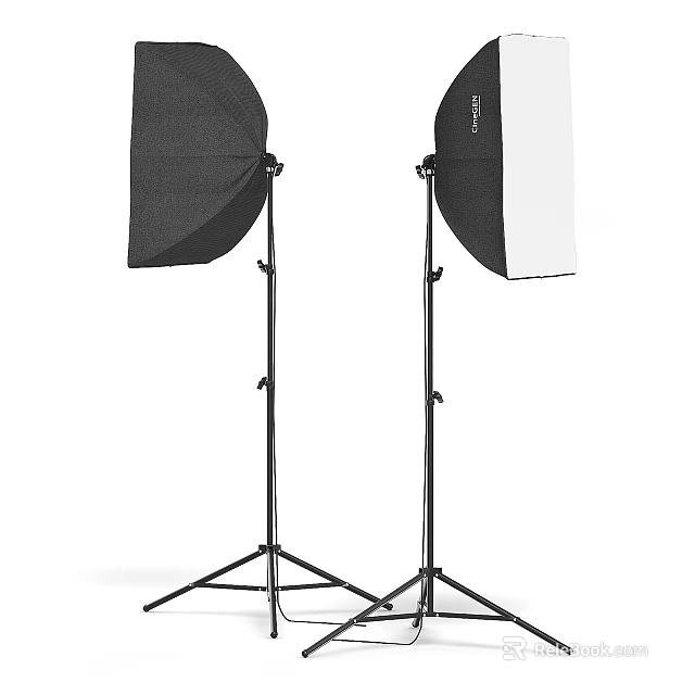 Professional Studio Photography Lighting Stands With Black And White Softboxes 3d model 