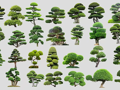 Different Forms of Pruned Ornamental Garden Trees with Various Green Shapes 3d model