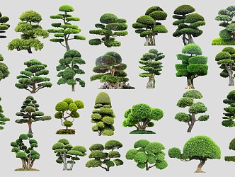 New Chinese Tree Banyan Tree Pile Head 3d model