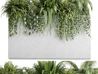 Bonsai Potted Plants With Lush Ferns And Hanging Greenery In Concrete Container 3d model