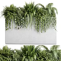 Bonsai Potted Plants With Lush Ferns And Hanging Greenery In Concrete Container