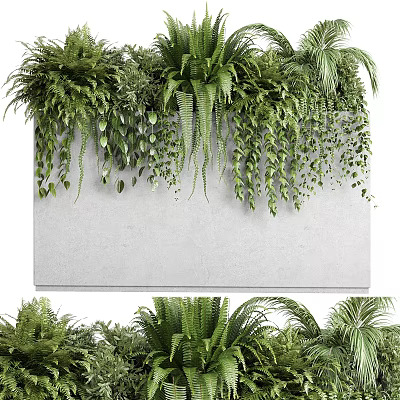 Bonsai Potted Plants With Lush Ferns And Hanging Greenery In Concrete Container 3d model