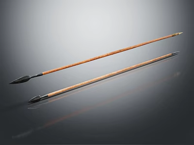 Weapon Wooden Arrows with Black Arrowheads on Reflective Smooth Surface 3d model