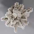 Pampas Grass Flowers in Black and White Geometric Vase for Home Decor