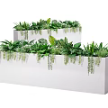 Lush Green Plant Combination in White Rectangular Planters with Trailing Vines and Foliage 3d model