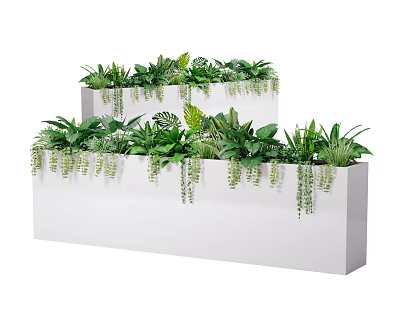 Lush Green Plant Combination in White Rectangular Planters with Trailing Vines and Foliage 3d model