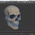Detailed Handcrafted Human Skull Sculpture With Realistic Facial Features And Texture