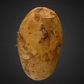 Single Whole Fresh Organic Potato With Natural Brown Skin And Texture On Dark Background
