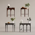Various Design Console Tables With Table Lamp Plants Fruit Tray And Books 3d model