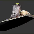 Wooden Stone Decorative Art With Tree Stump Small Sprout And Mossy Stones