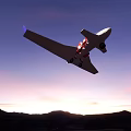 White And Purple Aircraft On Rocky Terrain With Green Vegetation