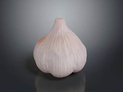 Fresh Whole Garlic Bulb With Natural Papery Skin And White Flesh 3d model