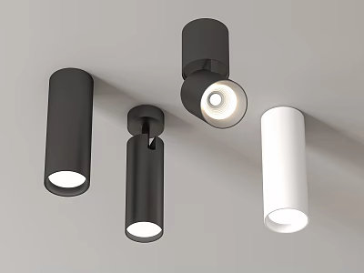 Modern Black and White Cylindrical Downlights and Spotlights Ceiling Lighting Fixtures 3d model