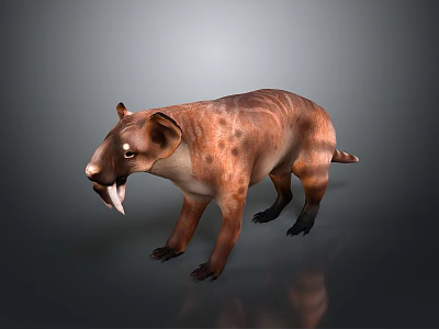 Saber Toothed Prehistoric Mammal With Brown Striped Fur Standing And Open Mouth Showing Fangs 3d model