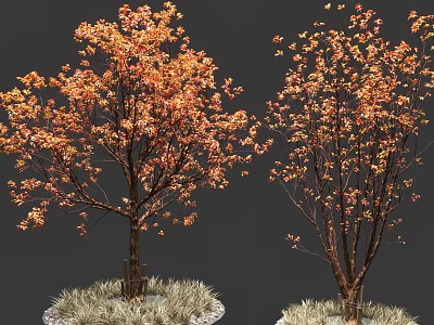 Colorful Arbor Tree With Orange Red Leaves And Brown Trunk On Decorative Grass Base 3d model