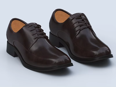Dark Brown Leather Shoes with Laces Smooth Upper Block Heels and Black Soles 3d model