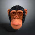Monkey Cartoon Monkey Anime Monkey Stylized Monkey Fantasy Style Monkey Toy 3d model