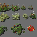Fresh Ripe Strawberry Plants With Green Leaves And Red Fruits On Black Background