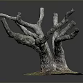 Natural Tree Stump With Twisted Thick Branches On Green Mossy Ground 3d model