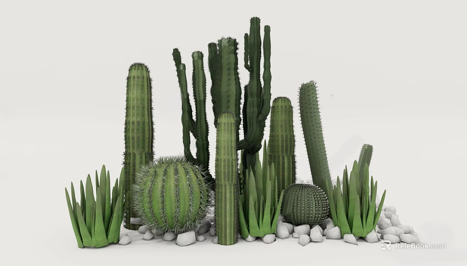 Bonsai Potted Plants with Various Cacti in Different Shapes Green Leaves and White Pebbles 3d model 
