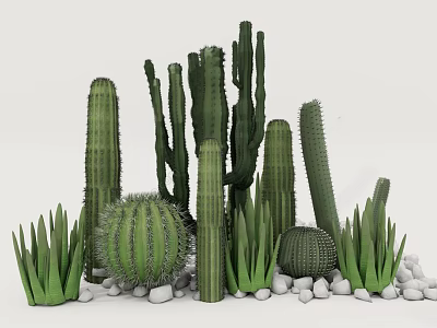 Bonsai Potted Plants with Various Cacti in Different Shapes Green Leaves and White Pebbles 3d model