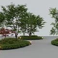 Natural Garden Plant Combination With Various Trees Shrubs Curved Pathway And Lights