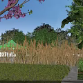 Tranquil Garden Landscape Featuring Purple Flowering Tree Green Tent Tall Grass And Stone Path