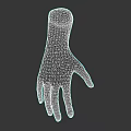 Realistic 3D Hand Model With Detailed Anatomical Structure And Skin Texture 3d model